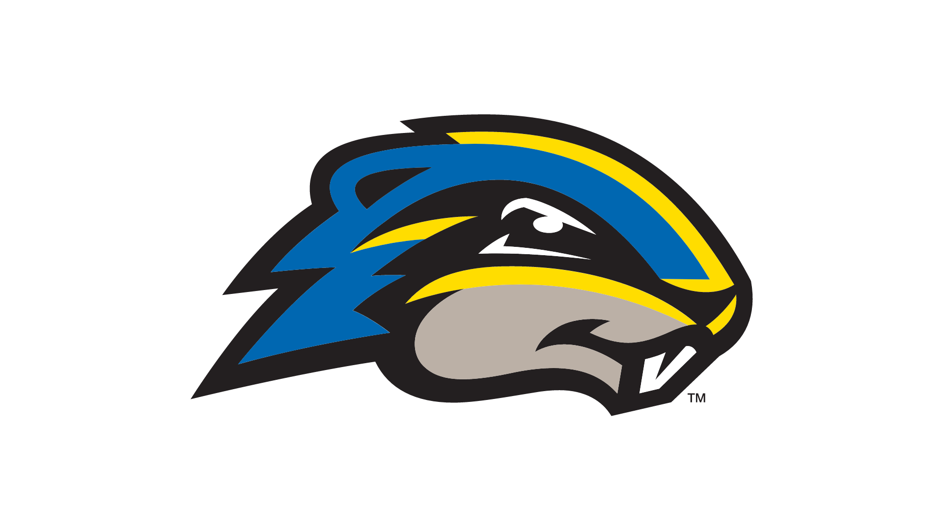 Swan Represents Goucher on All-CAC Team
